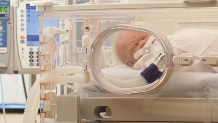 inter 7 plus neonatal